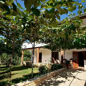 Apartment Kazalac Oasis, Poreč