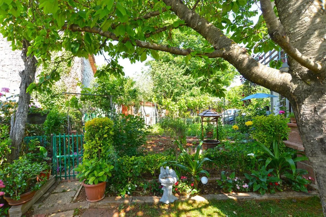 Apartment Danica 358 Poreč